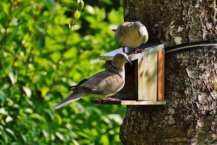 Wohnung Berlin Lankwitz - 3 Zimmer, 73 m&sup2;, 349.000&euro; | Angebot:25800132