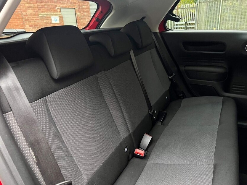C4 Cactus