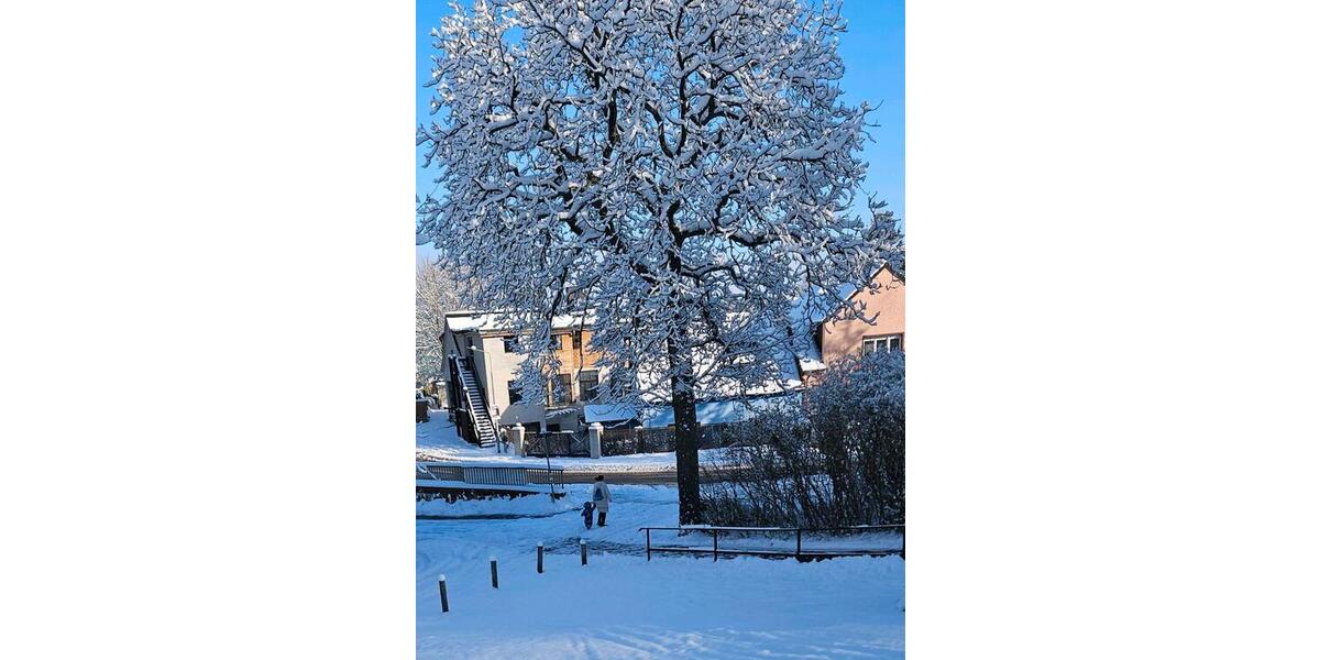 Loft - Studio - Atelier Potsdam Babelsberg - 1 Zimmer, 50 m&sup2;, 1.290&euro; | Angebot:25641646