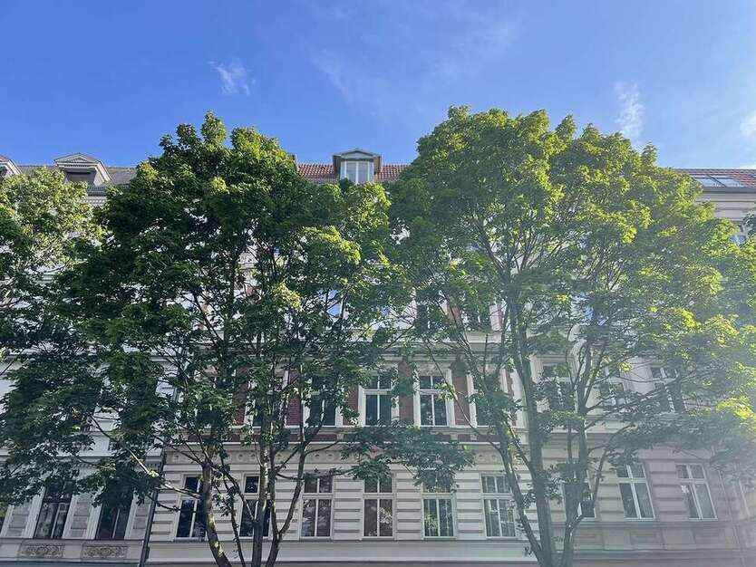 Wohnung zum Mieten in Berlin 900 € 55 m² 1 zimmer
