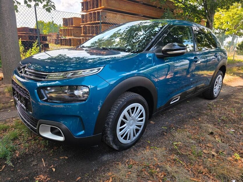 C4 Cactus