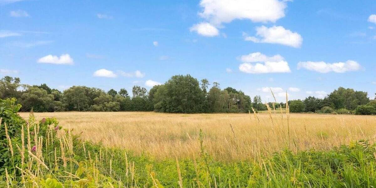 Grundstück Bernau bei Berlin Schönow - 379.000&euro; | Angebot:25686282