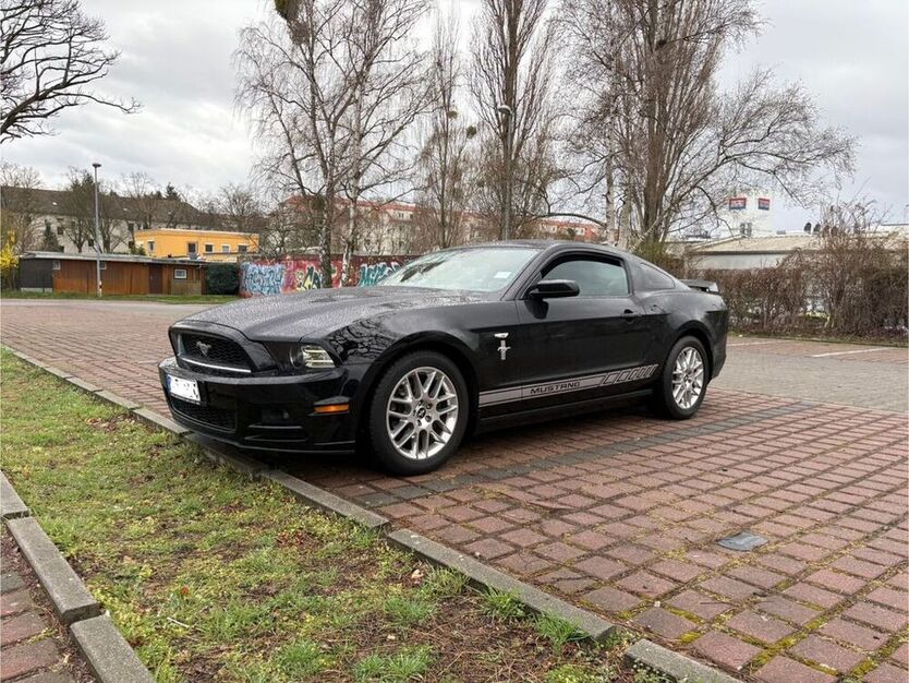 Mustang
