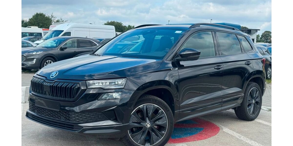Skoda Karoq 175.000 km 18.500 &euro; Mittenwalde 15749