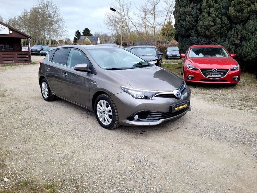 Auris