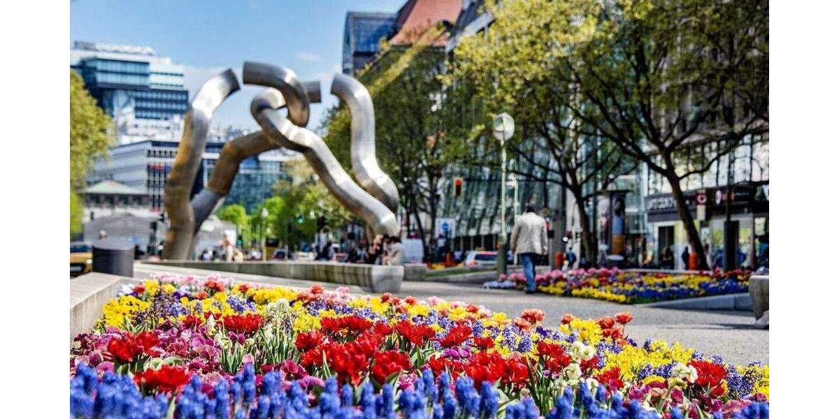 Etagenwohnung Berlin Spandau - 4 Zimmer, 119 m&sup2;, 790.000&euro; | Angebot:25839627