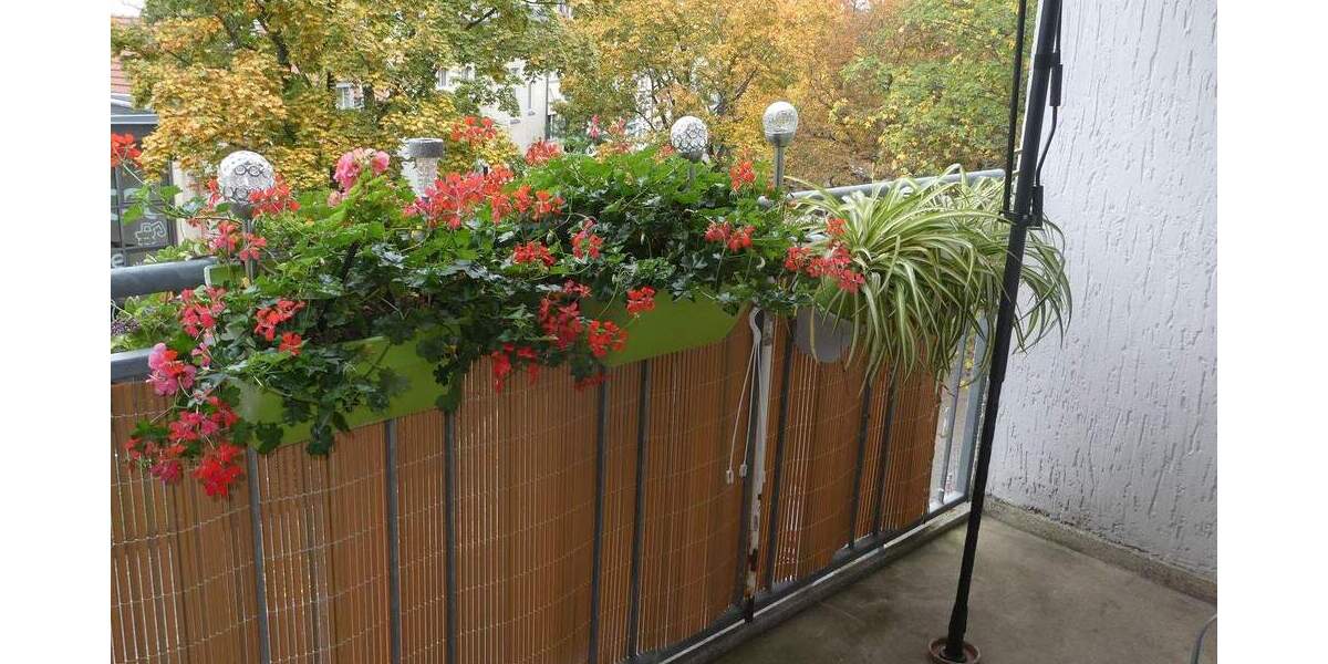 Etagenwohnung Berlin Friedenau - 2 Zimmer, 209.000&euro; | Angebot:25778381