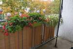 Etagenwohnung Berlin Friedenau - 2 Zimmer, 209.000&euro; | Angebot:25778381