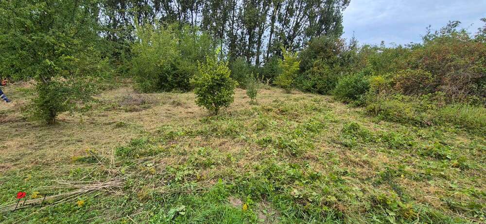 Bauträgerfreies Eckgrundstück in Schönefeld - Anlageobjekt Schönefeld | Angebot:24730652