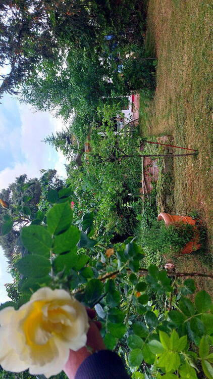 Bungalow m. gr. Garten