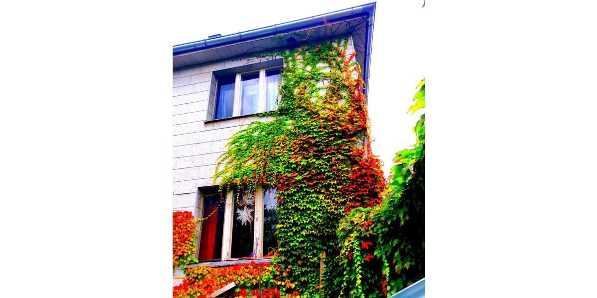 Provisionsfrei* BGF 850 qm2: großes Grundstück mit dreistöckigem Haus in Mariendorf, Berlin - Mehrfamilienhaus, Wohnhaus Berlin Tempelhof-Schöneberg | Angebot:25659944
