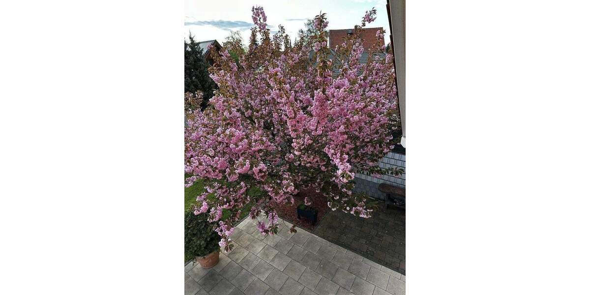 Einfamilienhaus Mühlenbeck - 5 Zimmer, 152 m&sup2;, 739.000&euro; | Angebot:25934080