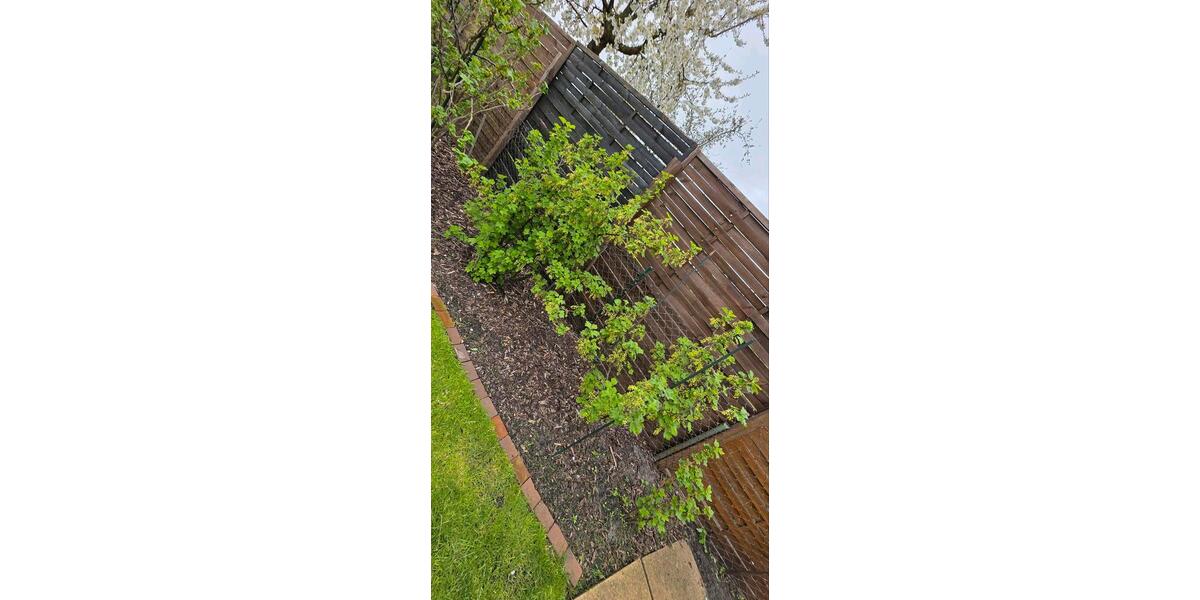 Bungalow Oranienburg - 2 Zimmer, 25 m&sup2;, 28.500&euro; | Angebot:26225081
