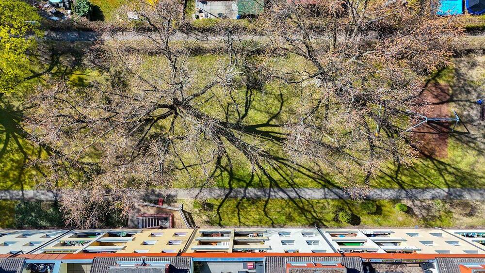 Etagenwohnung Berlin Reinickendorf - 5 Zimmer, 100 m&sup2;, 530.000&euro; | Angebot:26221895