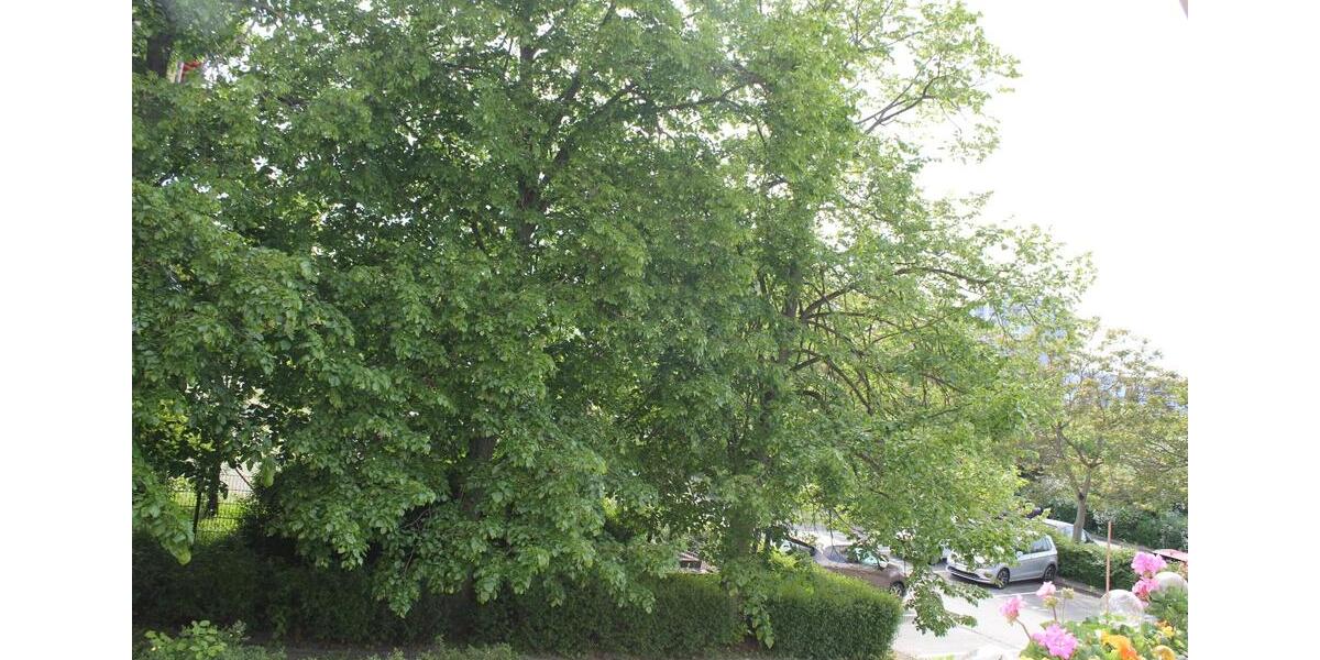 Hochparterre Berlin Marzahn-Hellersdorf - 2 Zimmer, 68 m&sup2;, 277.000&euro; | Angebot:26692139