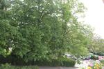 Hochparterre Berlin Marzahn-Hellersdorf - 2 Zimmer, 68 m&sup2;, 277.000&euro; | Angebot:26692139
