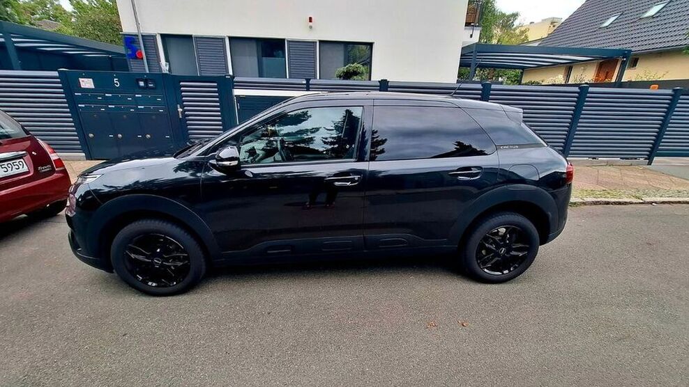C4 Cactus