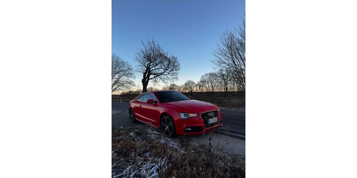 Audi A5 174.986 km 15.500 &euro; Potsdam 14480