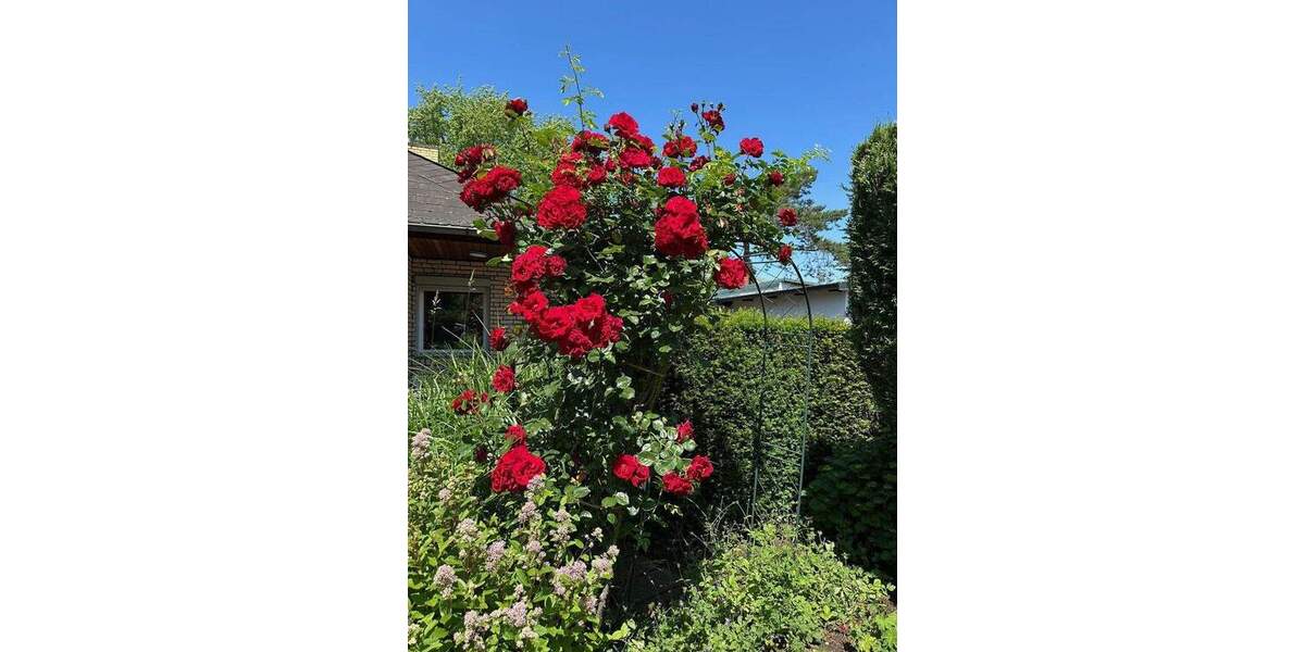 Mehrfamilienhaus, Wohnhaus Berlin Rudow - 9 Zimmer, 173 m&sup2;, 945.000&euro; | Angebot:25755184