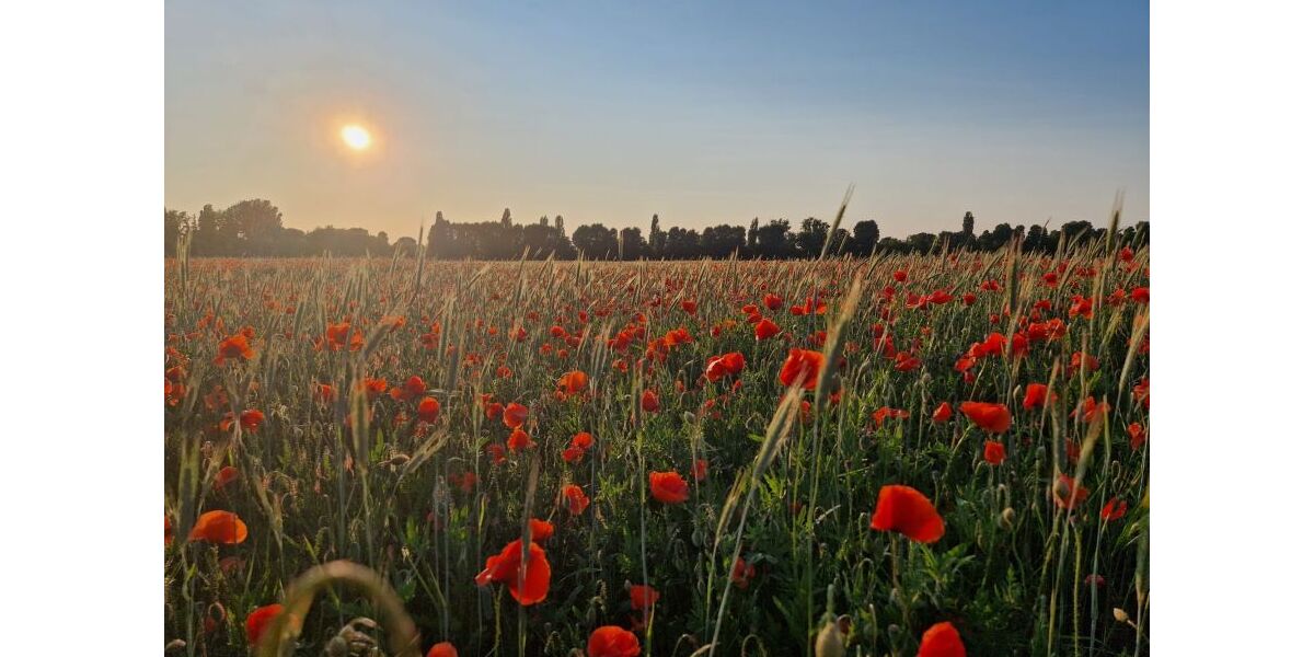 Sonniges Penthouse - Green View - Villenensemble -Weißensee - 4 Balkone 3 zimmer