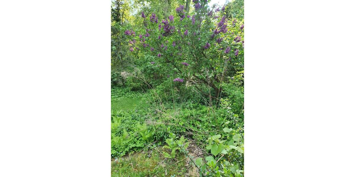 Grundstück Berlin Heiligensee - 349.000&euro; | Angebot:25688955