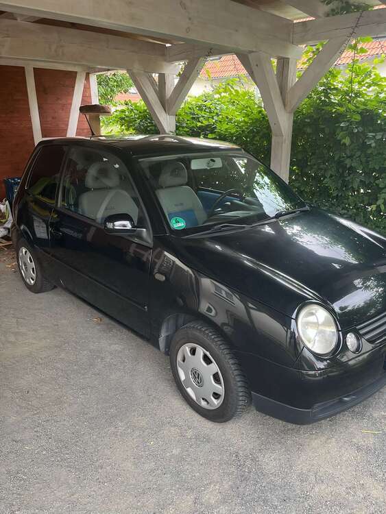 Lupo