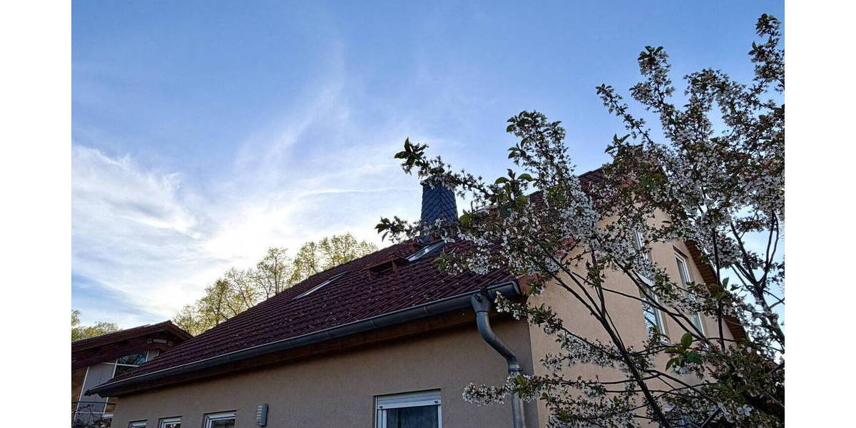 Einfamilienhaus Schönefeld Großziethen - 5 Zimmer, 133 m&sup2;, 579.000&euro; | Angebot:26569176