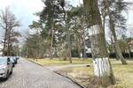 Etagenwohnung Berlin Grunewald - 4 Zimmer, 118 m&sup2;, 839.000&euro; | Angebot:26219647