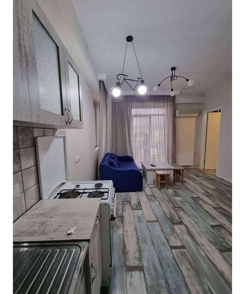 Wohnung zum Mieten in Berlin 600 € 20 m²
