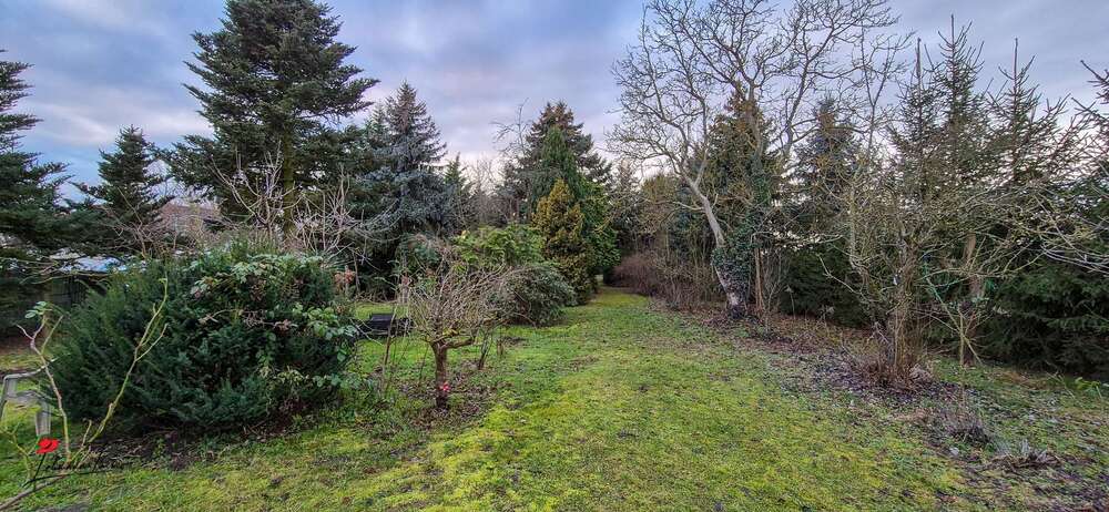 Wohn- & Gewerbeensemble mit Entwicklungspotenzial – Ihre Kapitalanlage mit Flughafennähe 11 zimmer