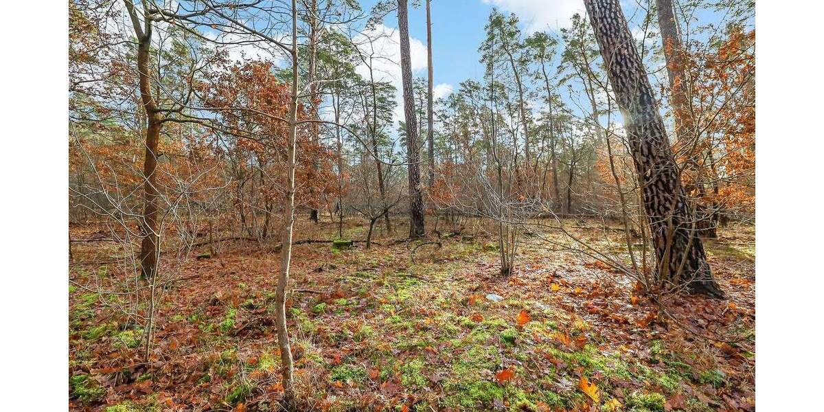 Einfamilienhaus Berlin Müggelheim - 277.000&euro; | Angebot:25769026