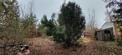 IHR NEUES PROJEKT IN IDYLLISCHER LAGE - Grundstück Berlin-Bohnsdorf Bohnsdorf | Angebot:26550819