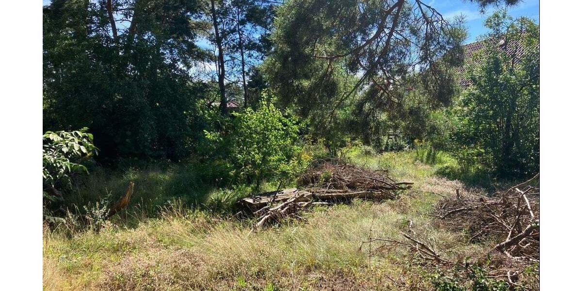 Grundstück Fredersdorf-Vogelsdorf Vogelsdorf - 290.000&euro; | Angebot:25739588