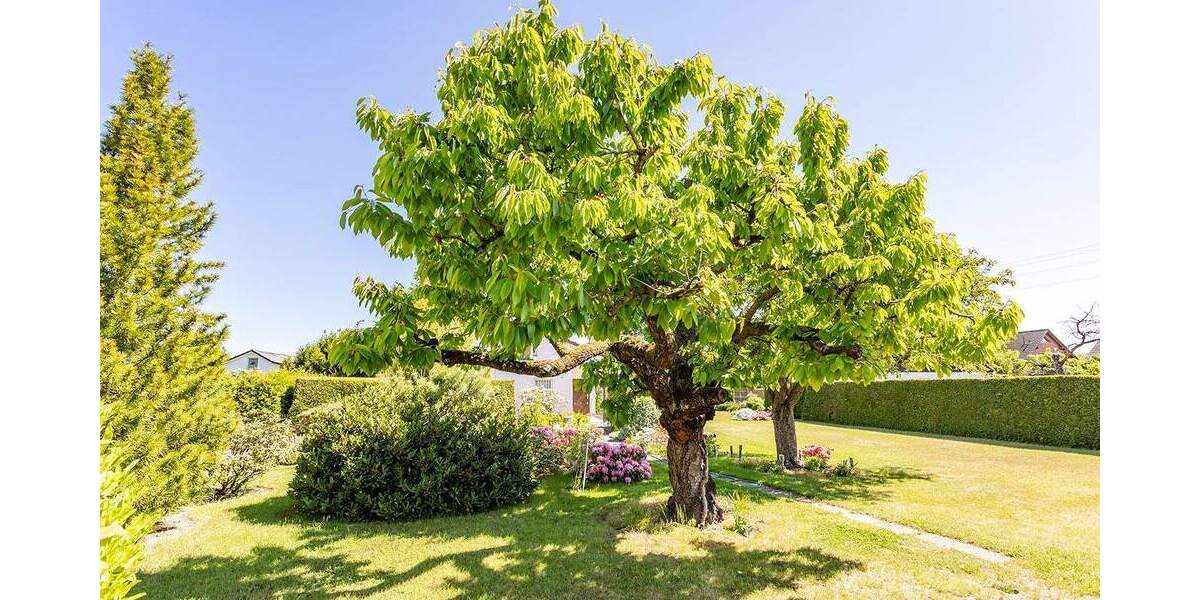 Grundstück Berlin Mahlsdorf - 450.000&euro; | Angebot:25739869