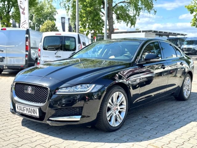 XF