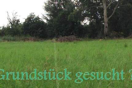 Selchow-Grundstück am Südrand von Berlin zimmer