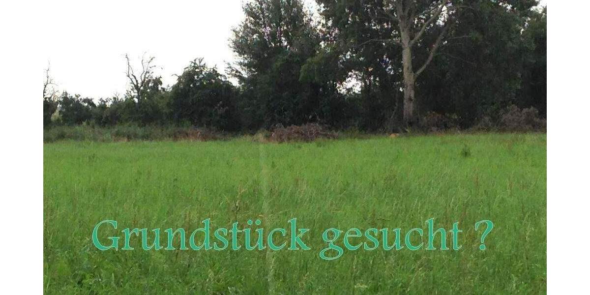 Selchow-Grundstück am Südrand von Berlin zimmer