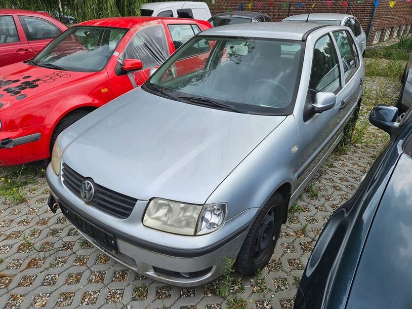 Polo