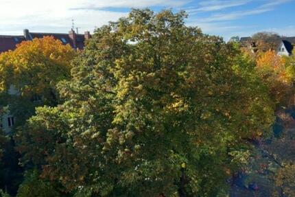 Wohnung Berlin Lichtenberg - 4 Zimmer, 151 m&sup2;, 2.790&euro; | Angebot:27713915