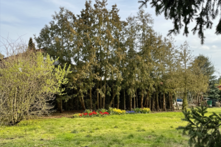 Grundstück Berlin Marzahn-Hellersdorf - 245.900&euro; | Angebot:24434827