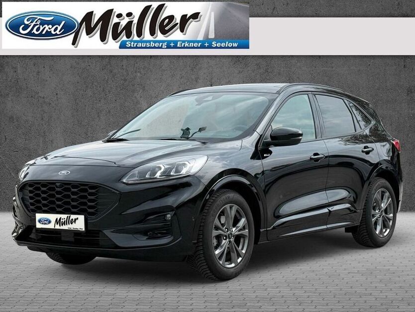 Kuga