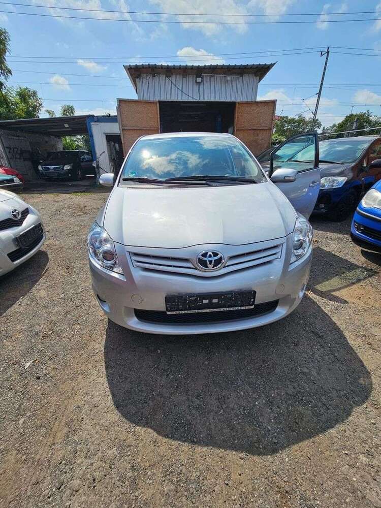 Auris