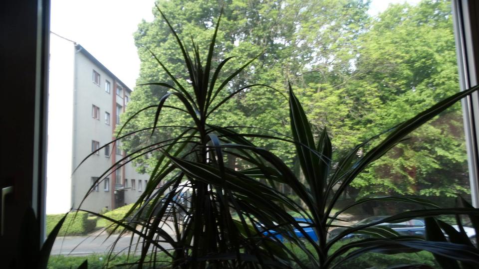 Erdgeschoßwohnung Berlin Tempelhof-Schöneberg - 3.5 Zimmer, 116 m&sup2;, 525.000&euro; | Angebot:27662204