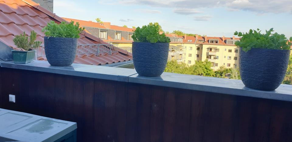 Dachgeschoßwohnung Berlin Reinickendorf - 3 Zimmer, 100 m&sup2;, 460.000&euro; | Angebot:24851382