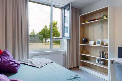 Wohnung Potsdam Bornstedter Feld - 2 Zimmer, 33 m&sup2;, 756&euro; | Angebot:25752268