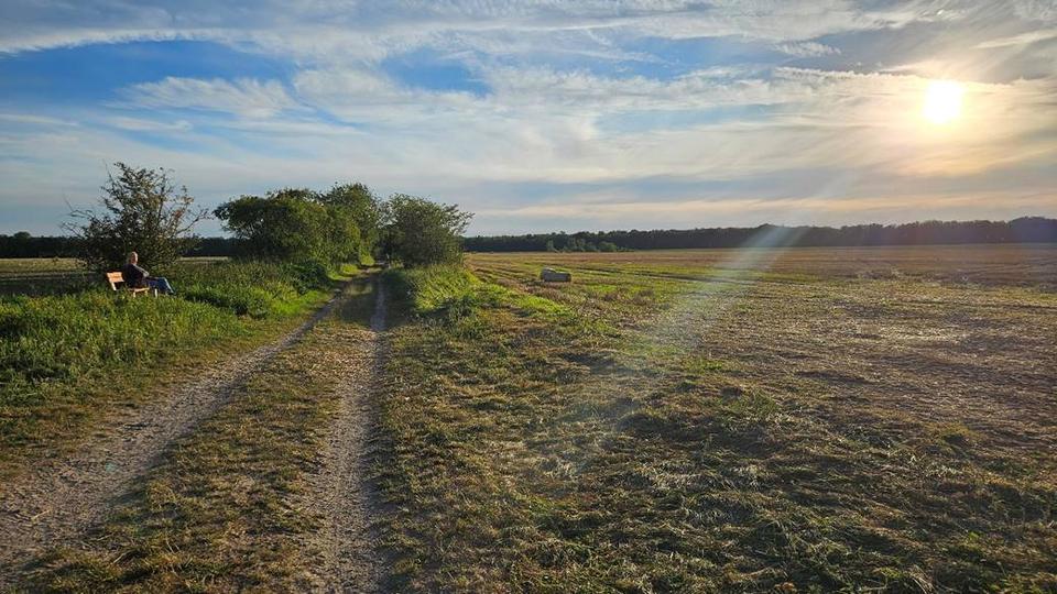 Doppelhaushälfte Dallgow-Döberitz Döberitz - 5 Zimmer, 130 m&sup2;, 1.470&euro; | Angebot:26021781