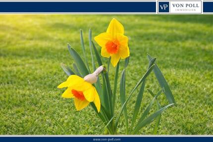 Grundstück Berlin - Pankow Karow - 269.000&euro; | Angebot:26246755