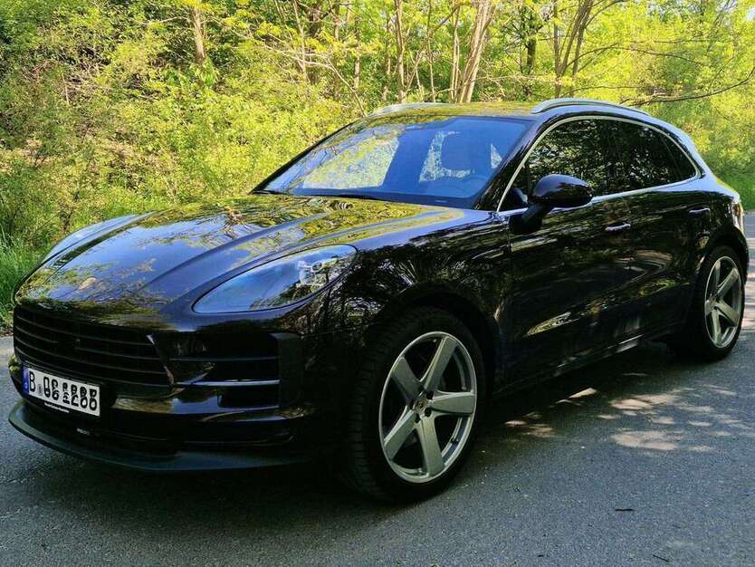Macan