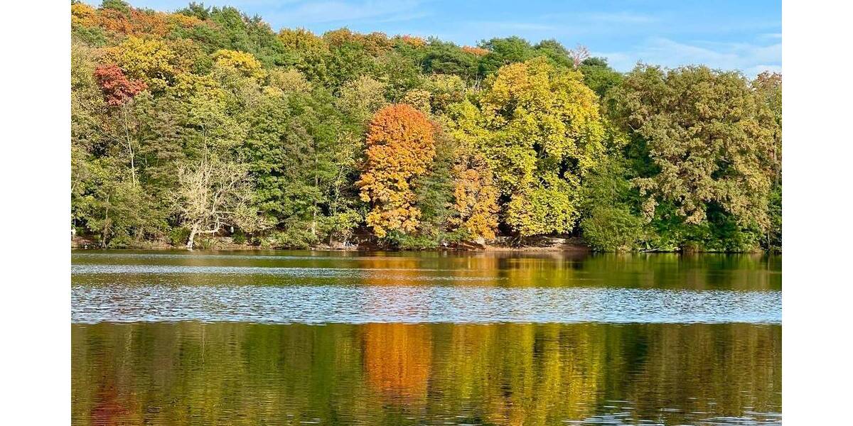 Etagenwohnung Berlin / Nikolassee Nikolassee - 2 Zimmer, 83 m&sup2;, 2.599&euro; | Angebot:23976379