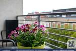 Etagenwohnung Berlin Tempelhof - 2 Zimmer, 4.579&euro; | Angebot:26678253